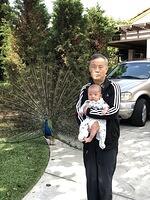 20190525093909001